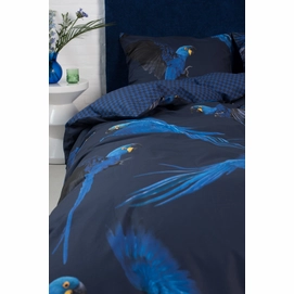 5---Blue_Parrot_2persoons_rgb-4057