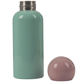 2---7462_Skittle_Bottle_Lite_MintPink_LidOff_500ml_LoRes