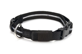 Halsband Beeztees Met LED string