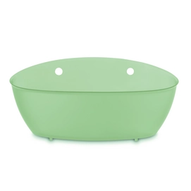 Aufbewahrungsbox Koziol Splash-Powder Mint