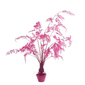 Kunstplant POLSPOTTEN Fern In Pot Pink Small