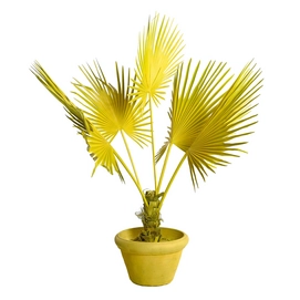 Kunstplant POLSPOTTEN Fan Palm In Pot Yellow