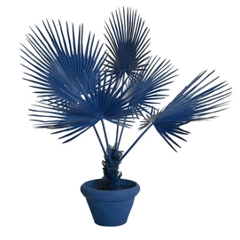 Kunstplant POLSPOTTEN Fan Palm In Pot Dark Blue
