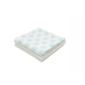 Luier Jollein Flanel Owl Mint (3-delig)