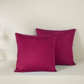 2---olivia_SierK_beetred_