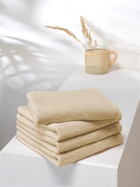 2---troy_50x100_sand_2022_NW1