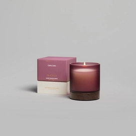 2---de-witte-lietaer-home-fragrances-geurkaars-belle-e (6)