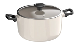 Non-stick Cooking Pot with Lid BergHOFF Leo Line Spirit 24x14cm 25