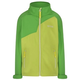 Jacke Regatta Vargo Softshell Jacke Lime Zest Grün Kinder