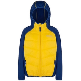 Veste Regatta Kielder Hybrid Jacket BriYel Surfs