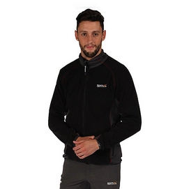 Jacke Regatta Ashton Seal Grey Schwarz Herren