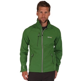 Jacke Regatta Neilson III Softshell Alpine Grün Herren