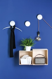 Wandhaakje Koziol Spot Transparent Grey