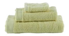 3---4981623, 4981624, 4981647-medium (2)-_no-bg