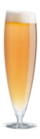3---541112_large_beer_glass_1-_no-bg
