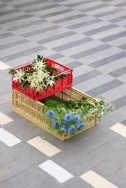 HAY Colour Crate S red_HAY Colour Crate M golden yellow