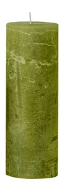 Kaars Cozy Candles Fern Green D7 x H20