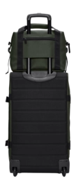 14230_green_4-_no-bg