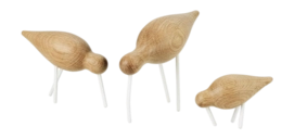 3---Shorebird Medium4