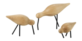3---Shorebird Medium4