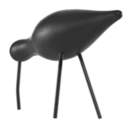 2---Shorebird Large3 (2)