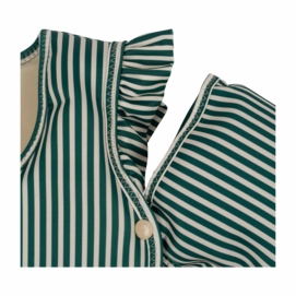 3---WATER_WINGS_FLOATER-Swim_wings-KS5372-BUNNY_TOKKI-2-_no-bg