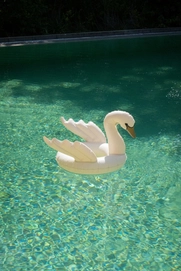 3---KS100528 - SWIM RING SWAN - CREAM OFF WHITE - Extra 2