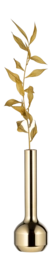 Vaas Lind DNA Silhouette 120 Gold Plated
