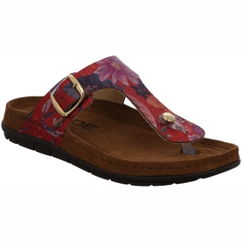 Slipper Rohde Women 5859 Rodigo Sherry