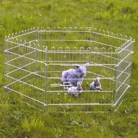 Konijnenren Beeztees Metaal 6 panelen