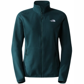 The North Face Vest Women 100 Glacier Full Zip Ponderosa Green