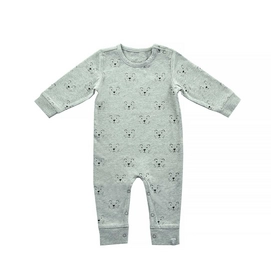 Babypakje Jollein Little Lion Grey