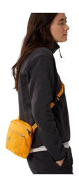 F23-X000006100-Mantis-2-Waistpack-Edziza-Back-View-_no-bg