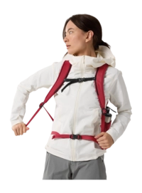 6---F23-X000006933-Mantis-20-Backpack-Bordeaux-Back-View-_no-bg