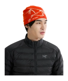 4---S25-X000006756-Bird-Head-Toque-Dynasty-Arc-Silk-Hover-_no-bg