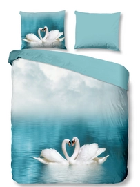 6384-P, SWAN, petrol-3D