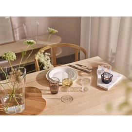 3---1005474_iittalaemea_02_iittala-teema-plate-23-cm-white