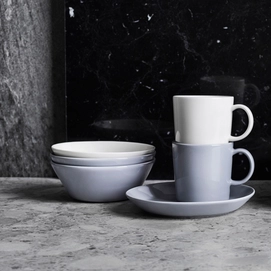 2---1005896_iittalaemea_02_iittala-teema-mug-04-l-pearl-grey