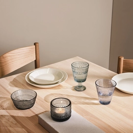 5---1005917_iittalaemea_07_iittala-teema-plate-21cm-white