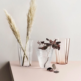 4---1024738_iittalaemea_05_iittala-aalto-vase-220mm-clear