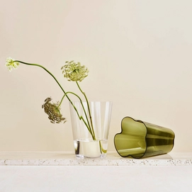 3---1051196_iittalaemea_03_iittala-aalto-vase-270mm-clear