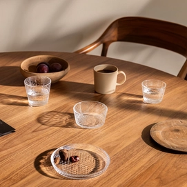3---1061230_iittalaemea_02_iittala_teema_mug_40cl_cotton