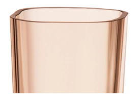 2---1066193_iittalaemea_02_iittala_alvar-aalto-collection-vase-180mm-rio-brown
