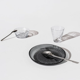 3---1070201_iittalaemea_04_iittala_kastehelmi-tumbler-30cl-calluna