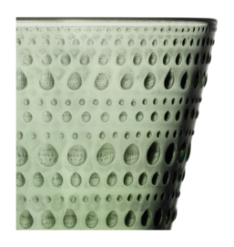 2---1070591_iittalaemea_02_iittala_kastehelmi-tumbler-30cl-pine-green-2pc
