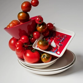 4---1072380_iittalaemea_04_iittala_taika-plate-rectangle-12x24cm-red