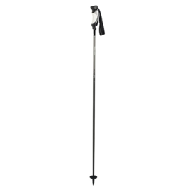 Skistöcke Komperdell Alpine Rebellution Carbon Silver