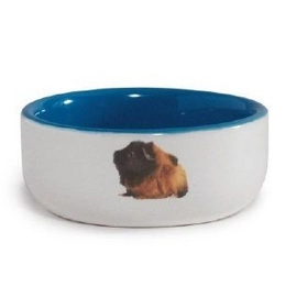 Voer- of Drinkbak Beeztees Cavia Blauw