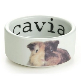 Voer- of Drinkbak Beeztees Snapshot Cavia