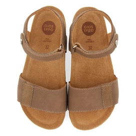 65994_taupe_04_2